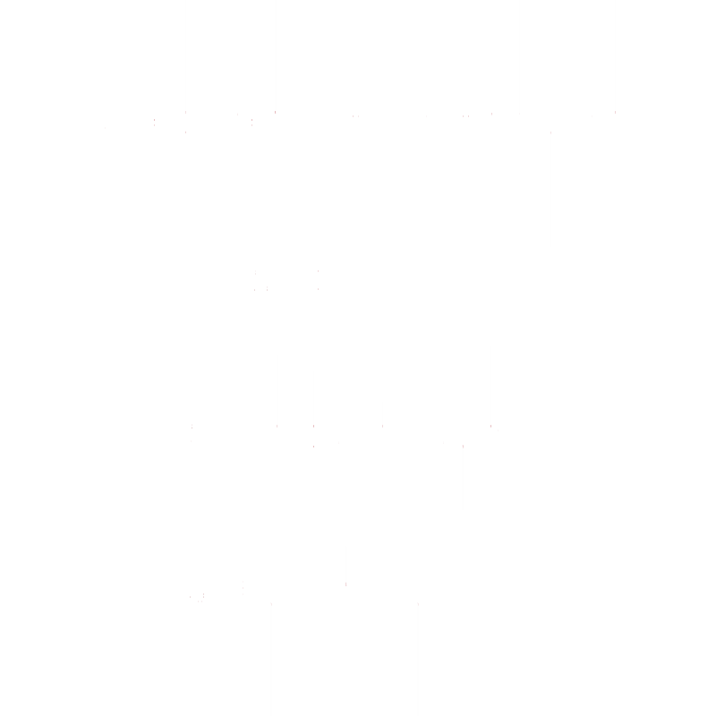 Customization process